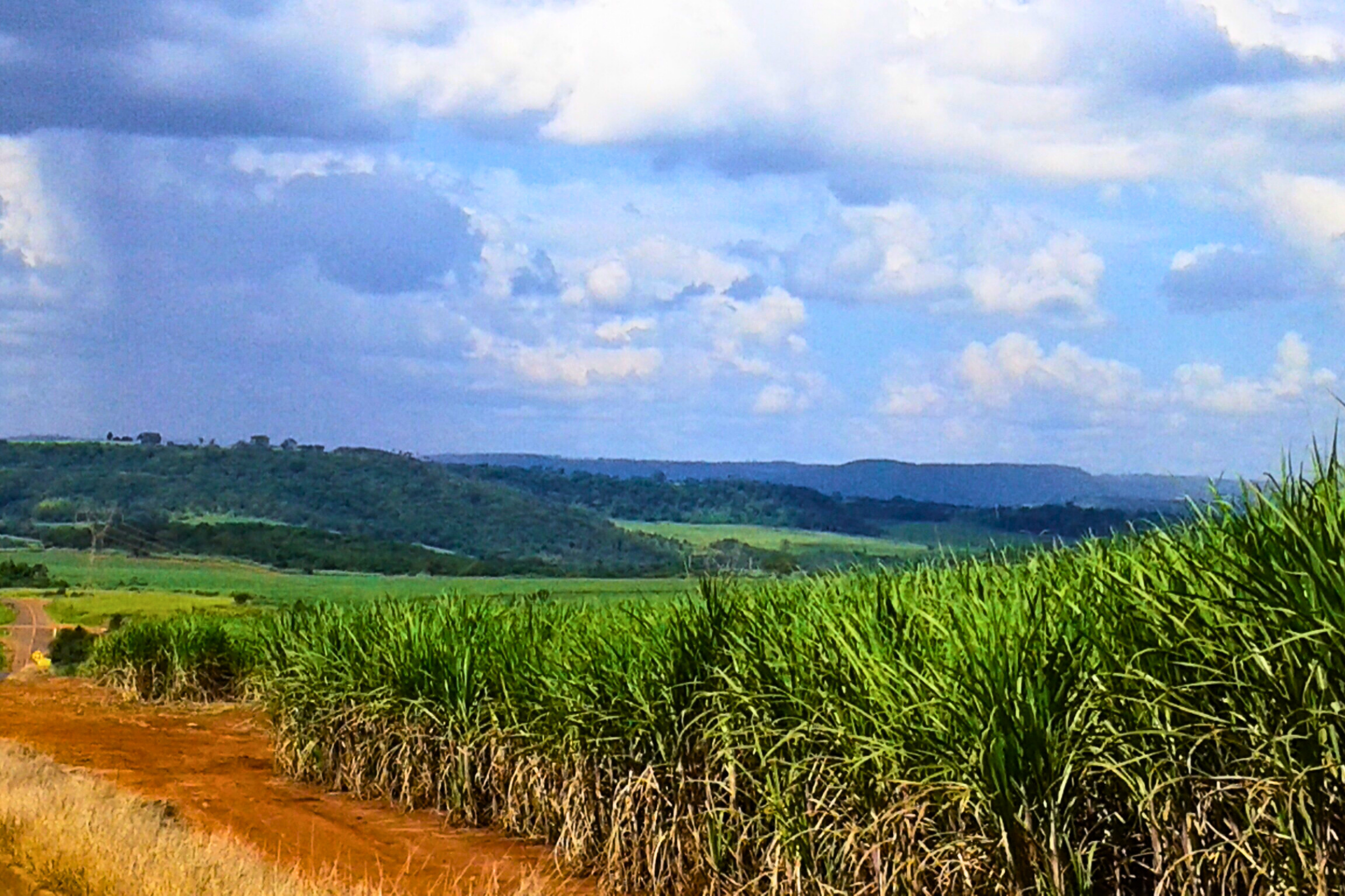 ilha anchieta state park (3).webp